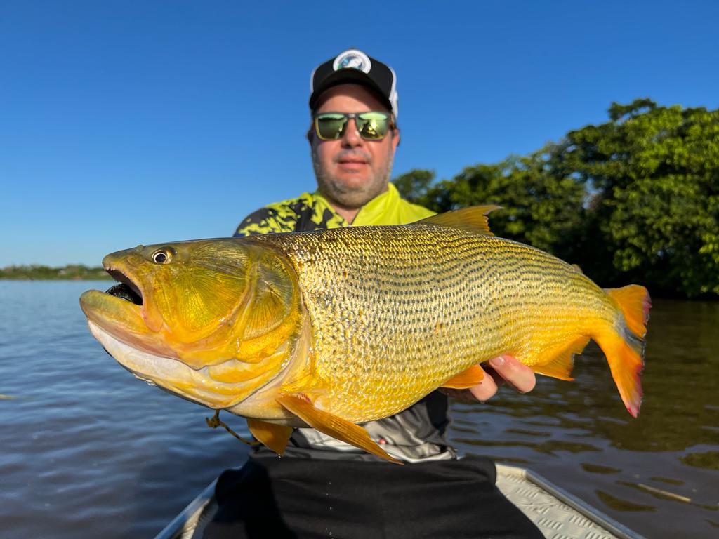 Pesca No Pantanal: Materiais, Dicas, Época, Peixes | Reserva Do Pantanal